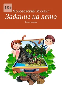 Михаил Морозовский Задание на лето. Книга первая обложка книги