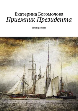 Екатерина Богомолова Приемник Президента. План работы обложка книги