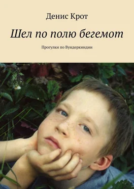 Денис Крот Шел по полю бегемот. Прогулки по Вундеркиндии обложка книги