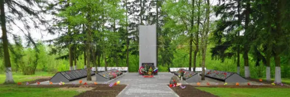 Памятник на братской могиле советских воинов в п Ясная Поляна Калининградской - фото 122