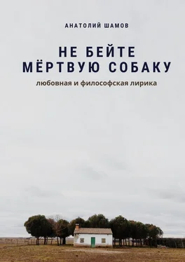 Анатолий Шамов Не бейте мёртвую собаку. Любовная и философская лирика обложка книги