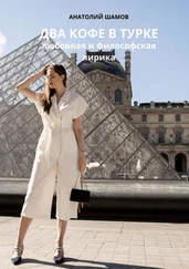 Анатолий Шамов - Два кофе в турке. Любовная и философская лирика