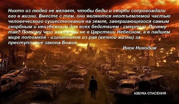 Пророк Царь Давид В тени крыл Твоих я укроюсь доколе не пройдут беды - фото 13