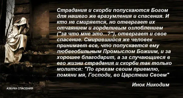 Подобное замечаем мы и в мироправлении Божием иное что попускается волей - фото 15