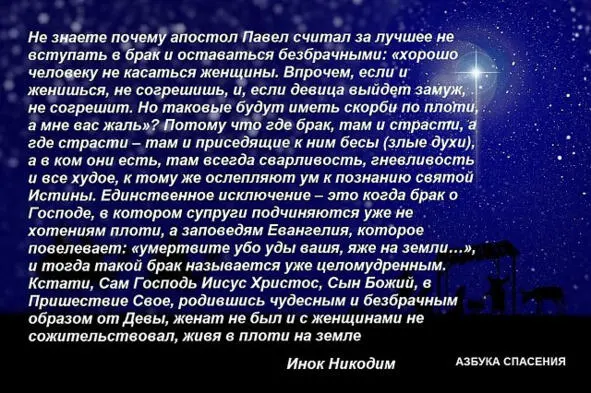 Святитель Игнатий Брянчанинов Безбрачная жизнь избирается произволением - фото 25