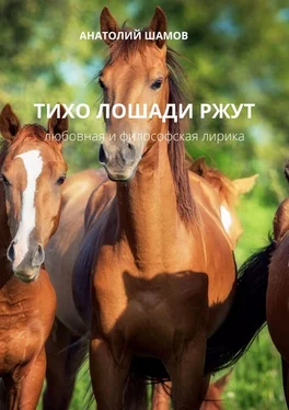 Анатолий Шамов Тихо лошади ржут. Любовная и философская лирика обложка книги