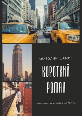 Анатолий Шамов Короткий роман. Философская и любовная лирика обложка книги