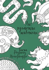 Басти Родригез-Иньюригарро - Лес пугающих животных