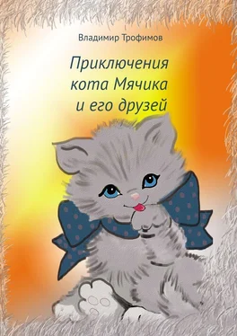 Владимир Трофимов Приключения кота Мячика и его друзей обложка книги