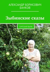 Александр Банков - Зыбинские сказы. Ситская быль