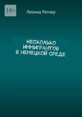 Леонид Ратнер Несколько иммигрантов в немецкой среде обложка книги