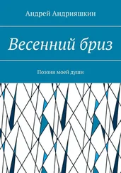 Андрей Андрияшкин - Весенний бриз. Поэзия моей души