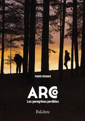 Mario Merago - ARCO. Los peregrinos perdidos