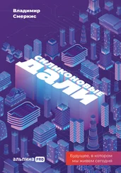 Владимир Смеркис - Силиконовые дали. Будущее, в котором мы живем сегодня