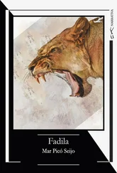 Mar Picó Seijo - Fadila