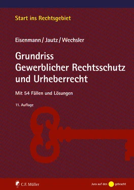 Andrea Wechsler Grundriss Gewerblicher Rechtsschutz und Urheberrecht обложка книги