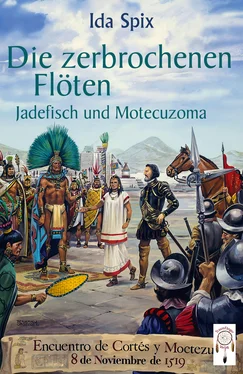 Ida Spix Die zerbrochenen Flöten обложка книги