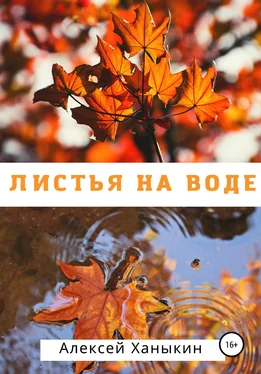 Алексей Ханыкин Листья на воде обложка книги