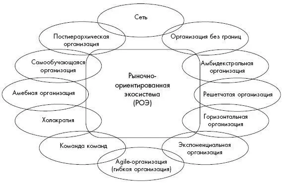 Рисунок 13 Вновь возникающие модели организаций Экосистема определяет то - фото 4