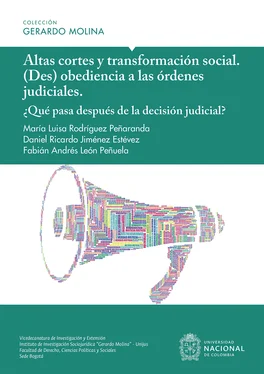 María Luisa Rodríguez Peñaranda Altas cortes y transformación social обложка книги