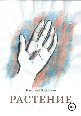 Рашид Шигапов Растение обложка книги