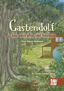 Diana Salazar Santamaría Castendolf y los secretos del bosque обложка книги