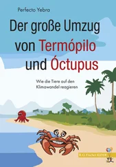 Perfecto Yebra - Der große Umzug von Termópilo und Óctopus