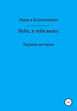 Лариса Кальматкина Небо, я тебя вижу! обложка книги