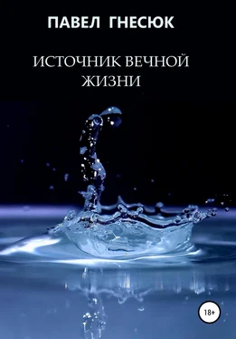 Павел Гнесюк Источник вечной жизни обложка книги