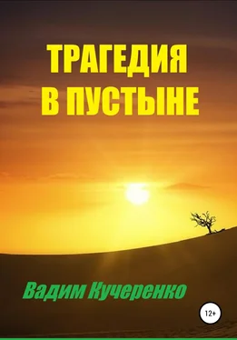 Вадим Кучеренко Трагедия в пустыне обложка книги