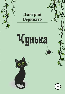 Дмитрий Вернидуб Чунька обложка книги