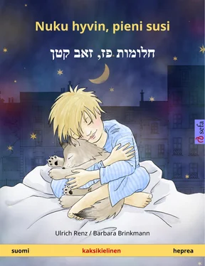 Ulrich Renz Nuku hyvin, pieni susi – חלומות פז‏‏,‏ ‏זאב קטן (suomi – heprea) обложка книги