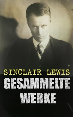 Sinclair Lewis Gesammelte Werke обложка книги