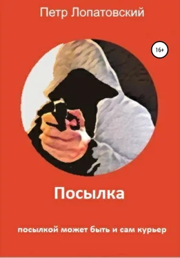 Петр Лопатовский Посылка обложка книги