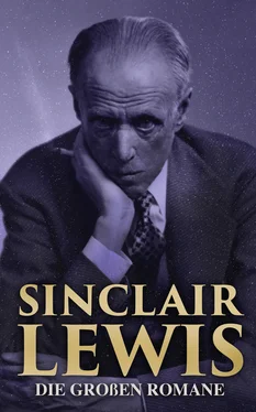 Sinclair Lewis Sinclair Lewis: Die großen Romane обложка книги