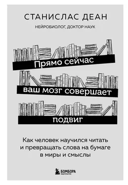 Станислас Деан Прямо сейчас ваш мозг совершает подвиг. Как человек научился читать и превращать слова на бумаге в миры и смыслы обложка книги