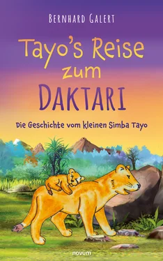 Bernhard Galert Tayo's Reise zum Daktari обложка книги