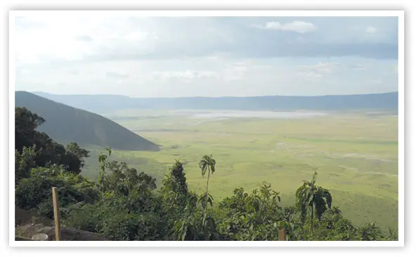 Der NgorongoroKrater Reges Leben erfüllt den Krater eine Herde Gnus - фото 1