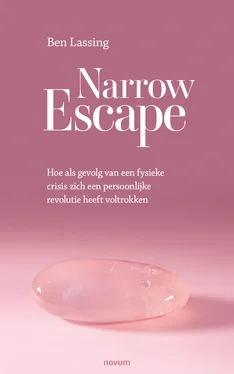 Ben Lassing Narrow Escape обложка книги