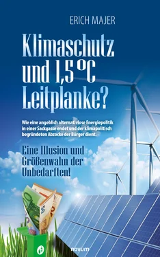 Erich Majer Klimaschutz und 1,5 °C Leitplanke? обложка книги