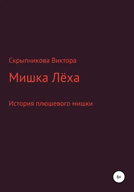 Виктор Скрыпников Мишка Лёха обложка книги