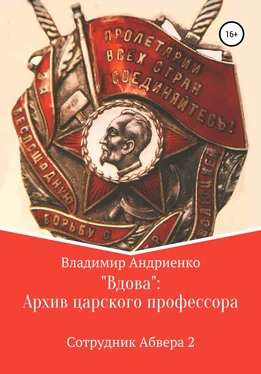 Владимир Андриенко «Вдова»: Архив царского профессора обложка книги