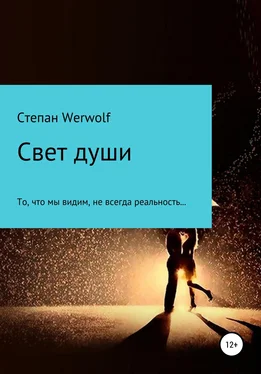 Степан Werwolf Свет души обложка книги