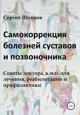 Сергей Шевцов Самокоррекция болезней суставов и позвоночника обложка книги