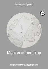 Елизавета Гричан - Мертвый риелтор. Познавательный детектив