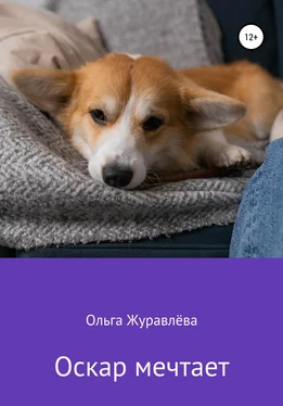 Ольга Журавлёва Оскар мечтает обложка книги