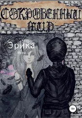 Эрика Маер - Сокровенный мир. По ту сторону