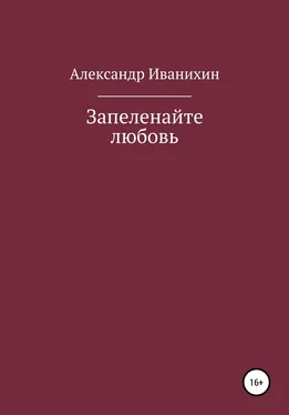 Александр Иванихин Запеленайте любовь обложка книги