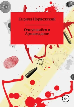 Кирилл Норвежский Очнувшийся в Армагеддоне обложка книги