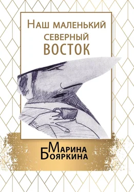 Марина Бояркина Наш маленький северный восток обложка книги